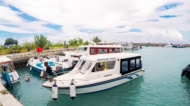 10分鐘帶你登上馬爾代夫無(wú)人島與海龜共游，居民島一日浮潛攻略