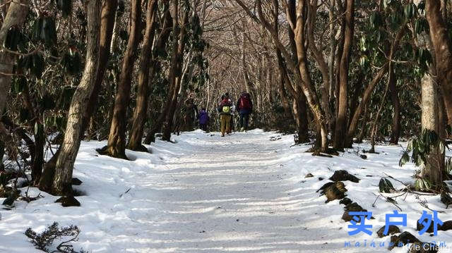 冬天爬韓國第一高峰，19.2公里雪登濟州島漢拿山！