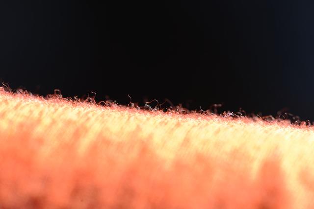 UNIQLO、Icebreaker、SmartWool美利奴羊毛衣體驗