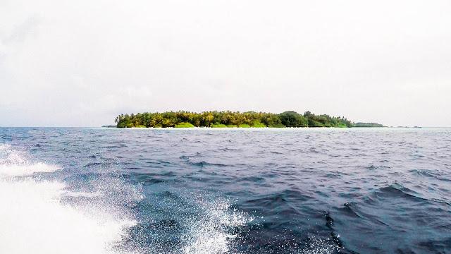 10分鐘帶你登上馬爾代夫無(wú)人島與海龜共游，居民島一日浮潛攻略