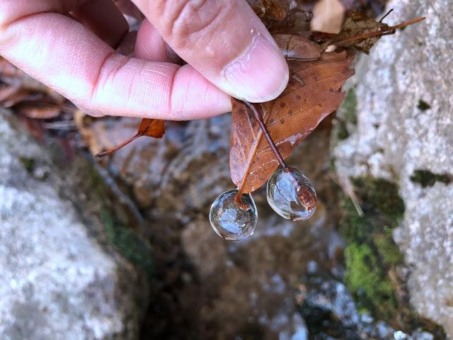 韓國人特別喜歡爬山,我就去爬了韓國釜山第一高山金井山姑堂峰