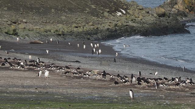 南極,世界最后一個被發現的大陸