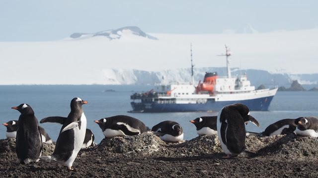 南極,世界最后一個被發現的大陸