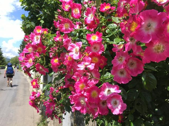 出發(fā),在路上！實(shí)測(cè)薩洛蒙Salomon X ULTRA 3戶外鞋