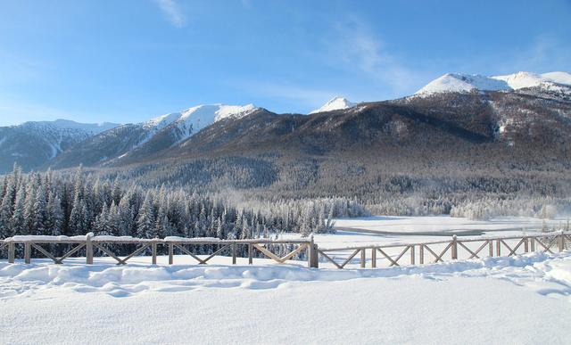 冬季去哪兒玩?新疆喀納斯絕美冬景