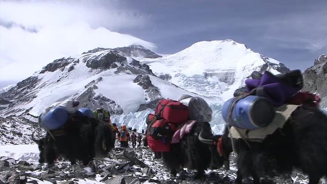 人類為什么要攀登珠峰，這三部電影告訴你為什么
