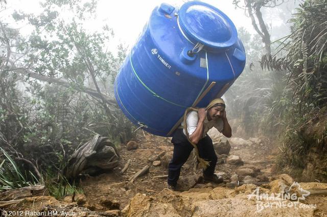 馬來西亞沙巴神山攻略,挑戰京那巴魯山(Mt Kinabalu)