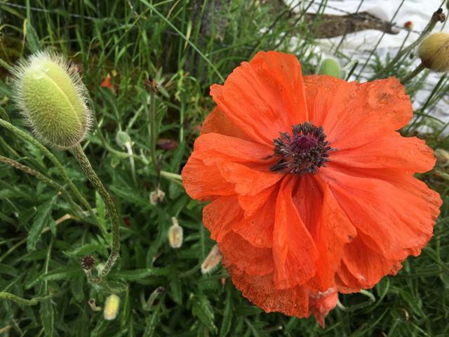 出發(fā),在路上！實(shí)測(cè)薩洛蒙Salomon X ULTRA 3戶外鞋