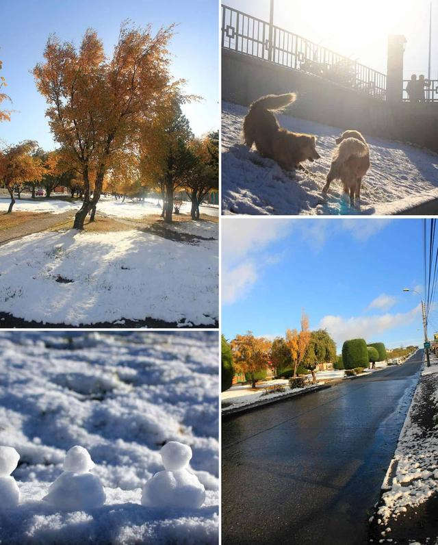 南美洲巴塔哥尼亞高原,百內(nèi)國家公園百自由行攻略