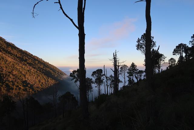 危地馬拉值得去的火山,富埃戈火山和阿卡特南戈火山