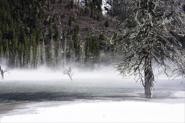 四姑娘山雙橋溝，適合休閑旅游的人看風景