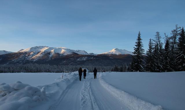 冬季去哪兒玩?新疆喀納斯絕美冬景