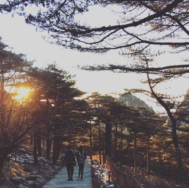 安徽黃山,一個許多人說一定要去的地方