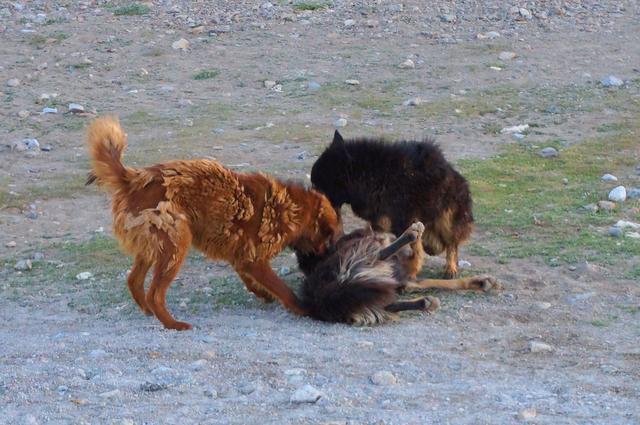 納木措,一個去西藏非去不可的地方