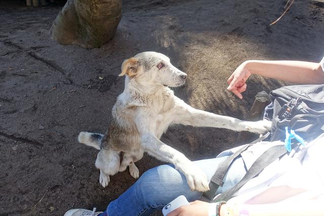 危地馬拉值得去的火山,富埃戈火山和阿卡特南戈火山