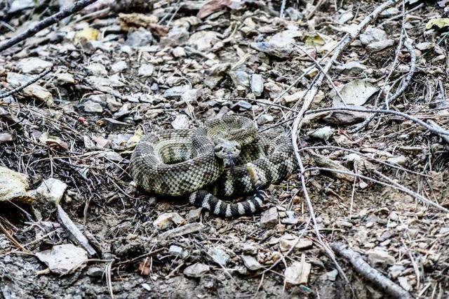 美國(guó)太平洋山脊國(guó)家步道,徒步走完4256公里山路