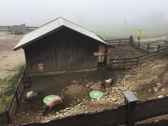 慕尼黑不只有啤酒節(jié),德國(guó)最高峰楚格峰自助徒步旅行游記