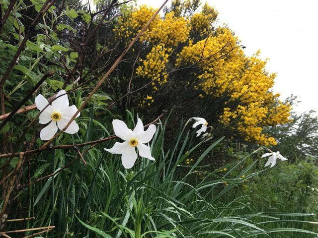 出發(fā),在路上！實(shí)測(cè)薩洛蒙Salomon X ULTRA 3戶外鞋