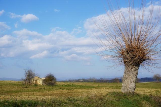歐洲自助游意大利之旅,難忘的托斯卡尼