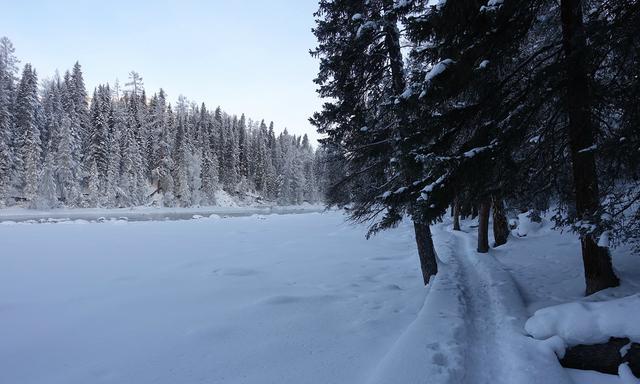 冬季去哪兒玩?新疆喀納斯絕美冬景