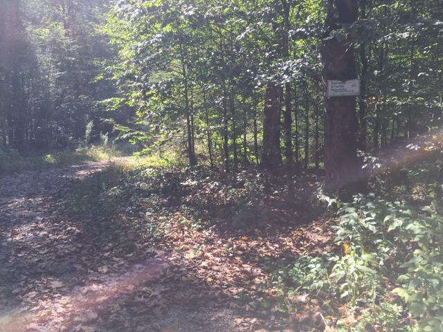 慕尼黑不只有啤酒節(jié),德國(guó)最高峰楚格峰自助徒步旅行游記