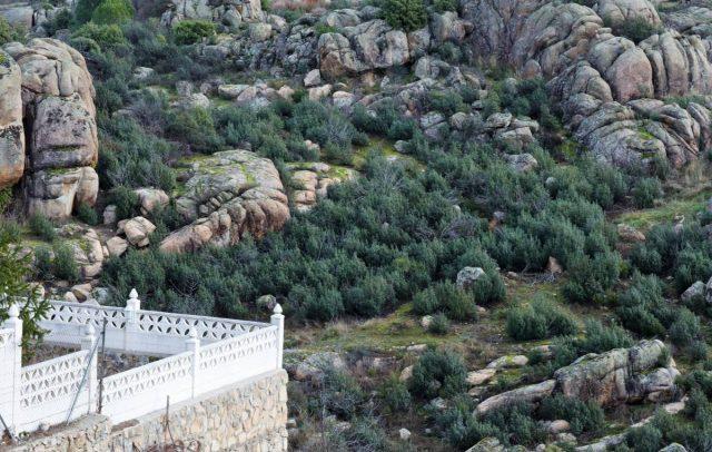 西班牙自由行,行走在馬德里后花園曼薩納雷斯城堡