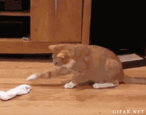 千里之行始于足下,再好的登山鞋也需要配一雙好襪子