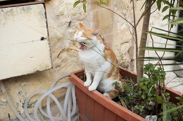 意大利馬泰拉，窮山惡水也要活下去的鬼城
