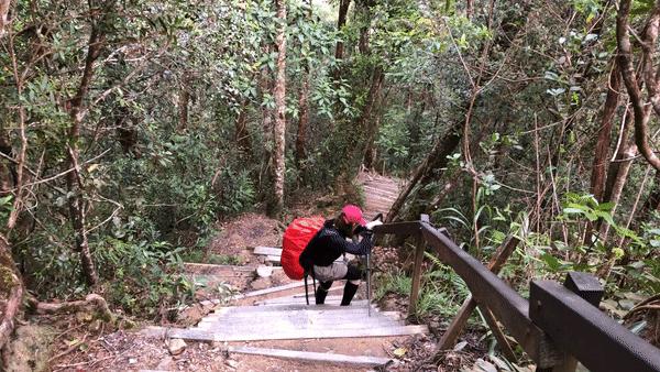 馬來西亞沙巴神山攻略,挑戰京那巴魯山(Mt Kinabalu)