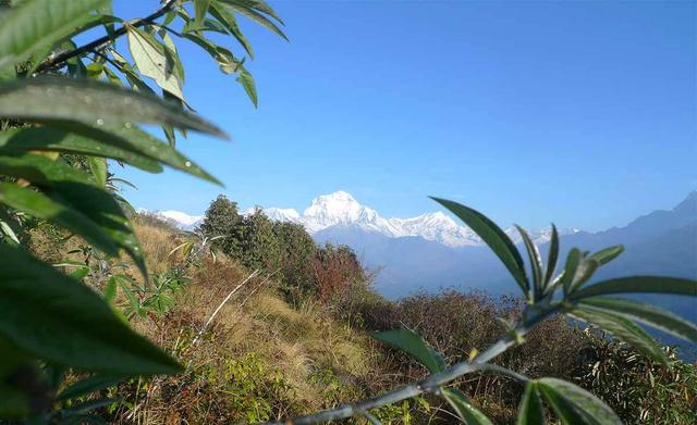 尼泊爾徒步多少錢？登山向導怎么找？看完這篇再出發