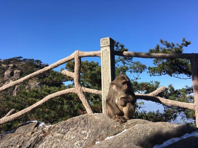 安徽黃山,一個許多人說一定要去的地方