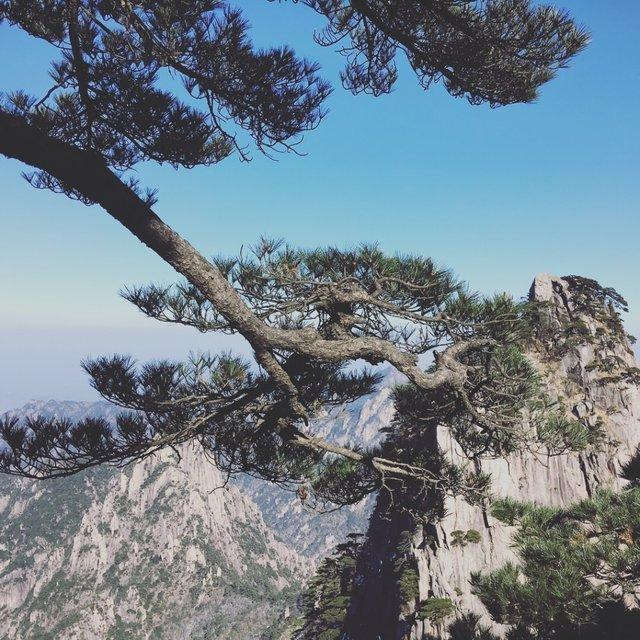 安徽黃山,一個許多人說一定要去的地方