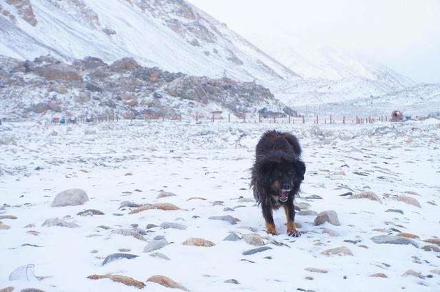 上不了珠峰,也要去珠峰大本營(yíng)一趟
