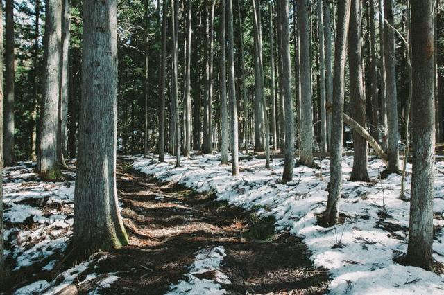 Salomon薩洛蒙X Ultra 3,為超輕而生的頂級(jí)徒步登山靴