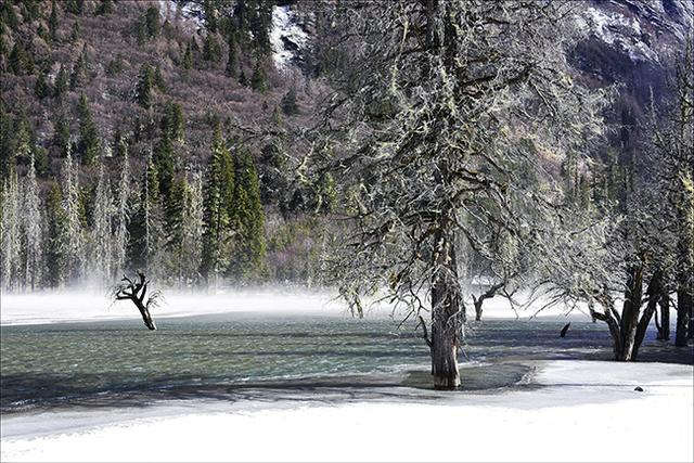 四姑娘山雙橋溝，適合休閑旅游的人看風景