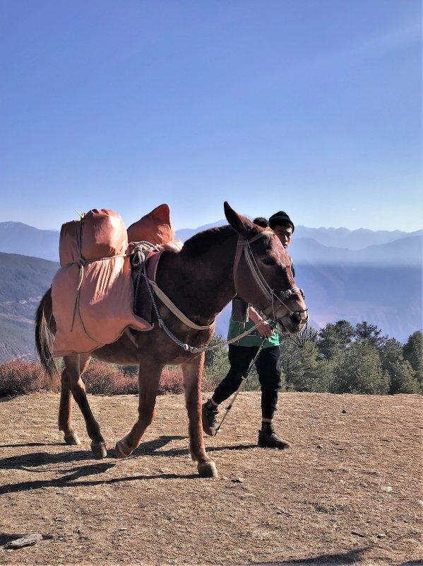 哈巴雪山，一座屬于你的初級入門雪山