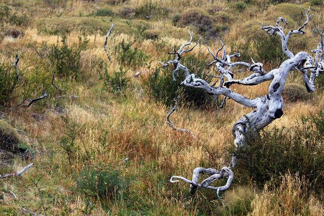 南美洲巴塔哥尼亞高原,百內(nèi)國家公園百自由行攻略