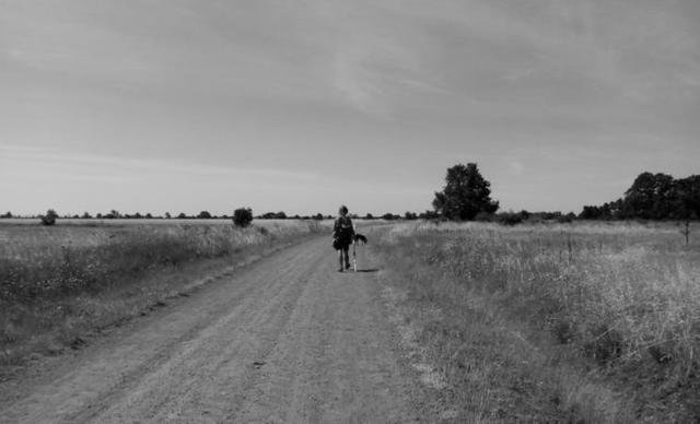 世界最美之一的徒步路線，西班牙朝圣之路