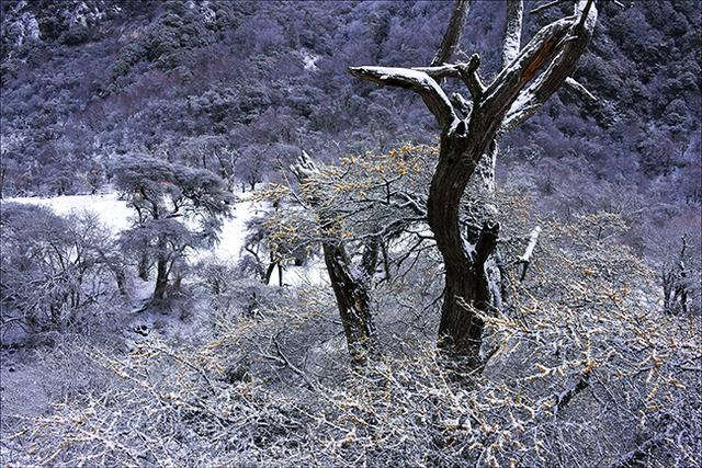 四姑娘山雙橋溝，適合休閑旅游的人看風景