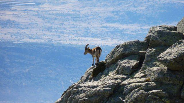 西班牙自由行,行走在馬德里后花園曼薩納雷斯城堡