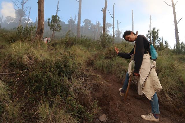 危地馬拉值得去的火山,富埃戈火山和阿卡特南戈火山