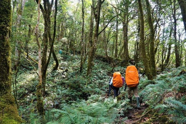 爬山除了穿登山鞋,還有人喜歡穿雨鞋