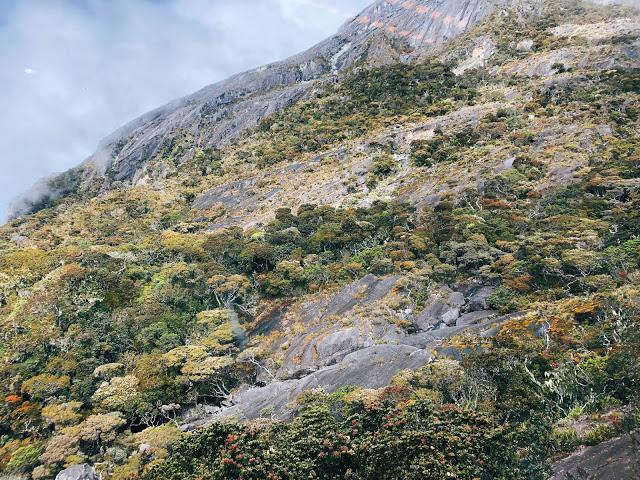 馬來西亞沙巴神山攻略,挑戰京那巴魯山(Mt Kinabalu)