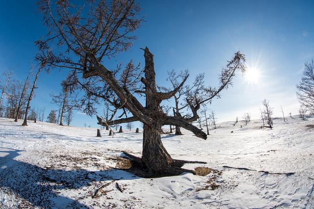 去俄羅斯旅行，用魚眼鏡頭記錄視野下的銀白世界