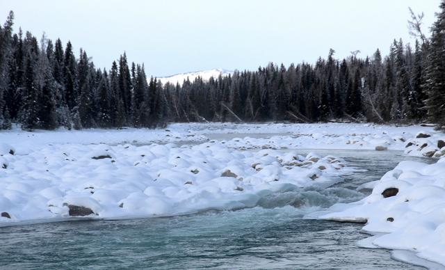 冬季去哪兒玩?新疆喀納斯絕美冬景