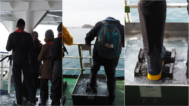 走近南極十日,南極的美或許也只有去過的人才能懂