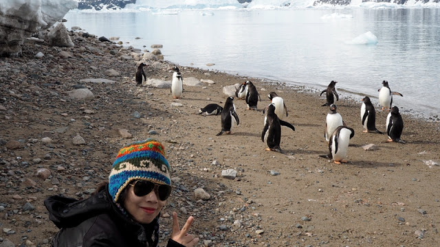 走近南極十日,南極的美或許也只有去過的人才能懂