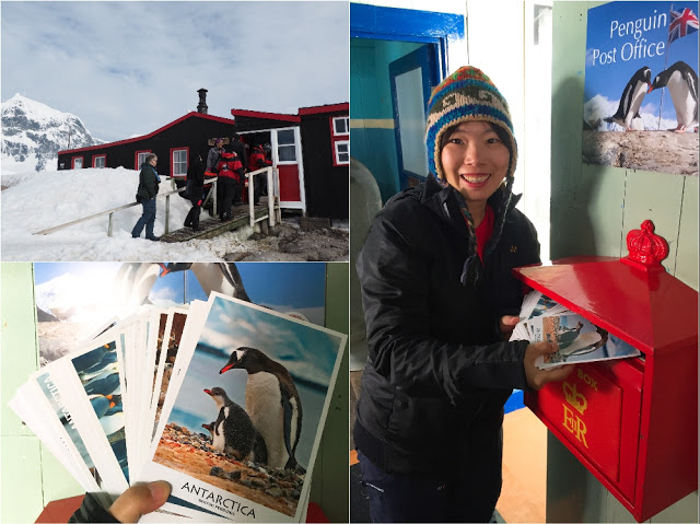 走近南極十日,南極的美或許也只有去過的人才能懂