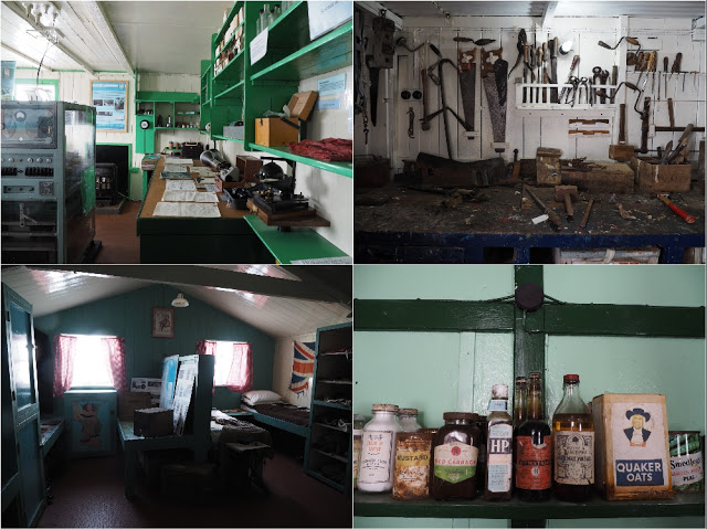 走近南極十日,南極的美或許也只有去過的人才能懂