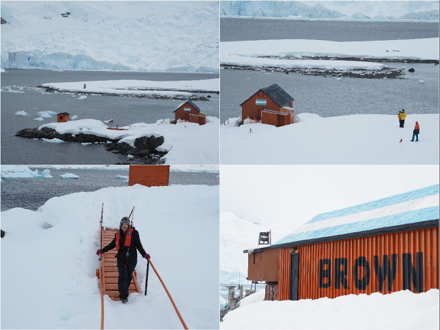 走近南極十日,南極的美或許也只有去過的人才能懂